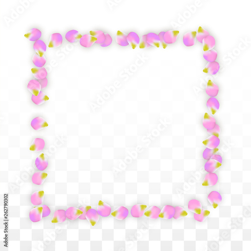 Vector Realistic Pink Petals Falling on Transparent Background.  Spring Romantic Flowers Illustration. Flying Petals. Sakura Spa Design. Blossom Confetti. © Feliche _Vero