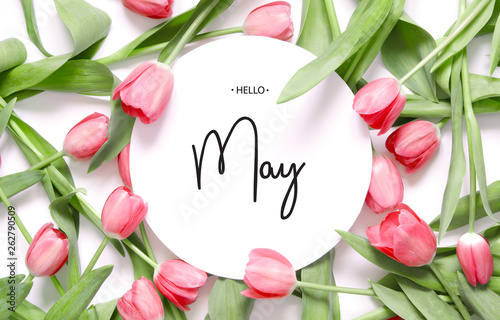 Inscription Hello May. Tulip flower. Spring background.