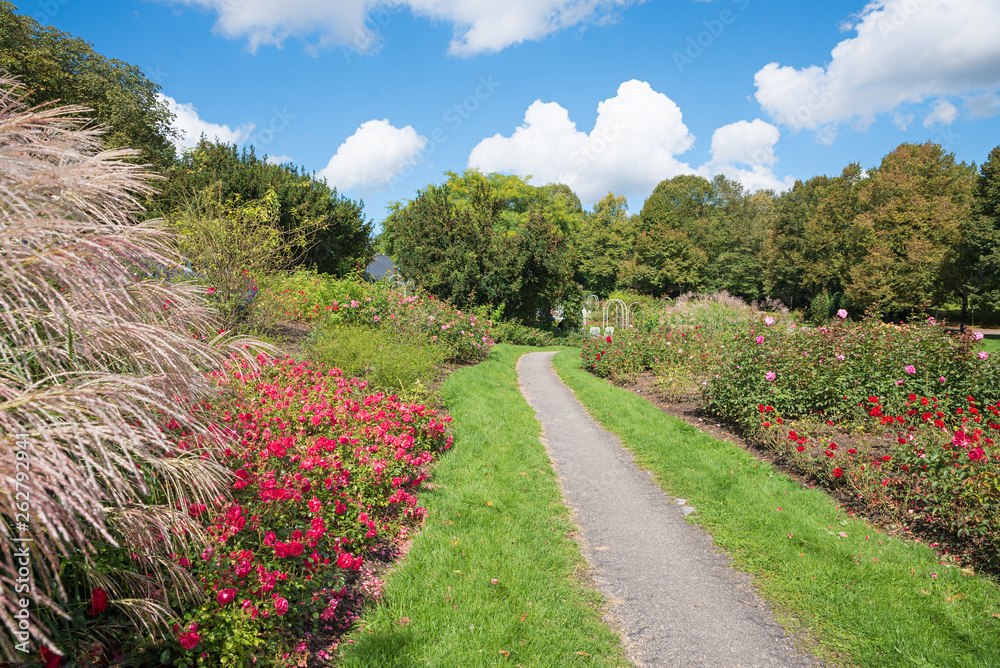 Weg durch den Rosengarten im Münchner Westpark