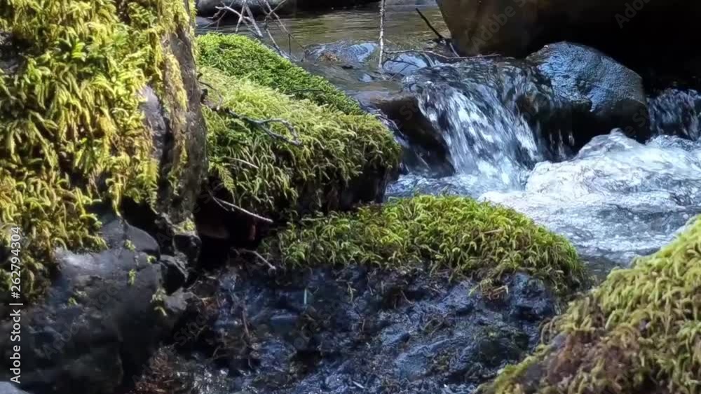 Water cascading over moss covered rocks in a mountain stream on a warm spring day Water cascading over moss covered rocks in a mountain stream on a warm spring day