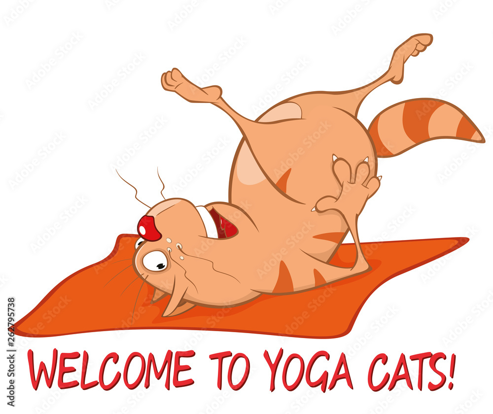 Essential Yoga Poses For Cats Vector Illustration Of A Cute Cat