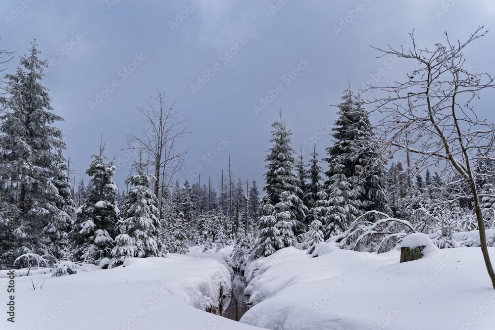 Obraz premium Winter landscape in Harz mountains national park