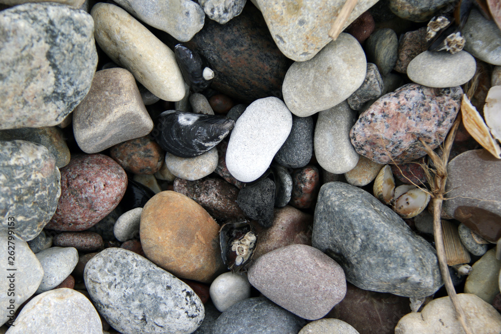 Pebble and black shells on the beach texture Pebble and black shells on the beach texture