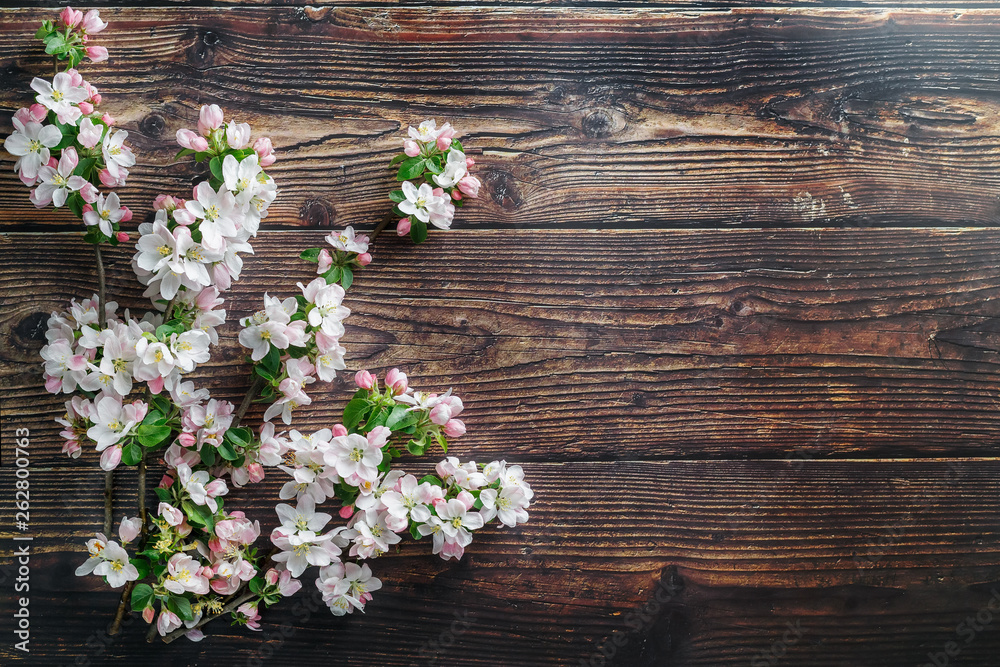 Sakura blooming on a dark rustic wooden background. Spring background with blossoming apricot branches and cherry branches