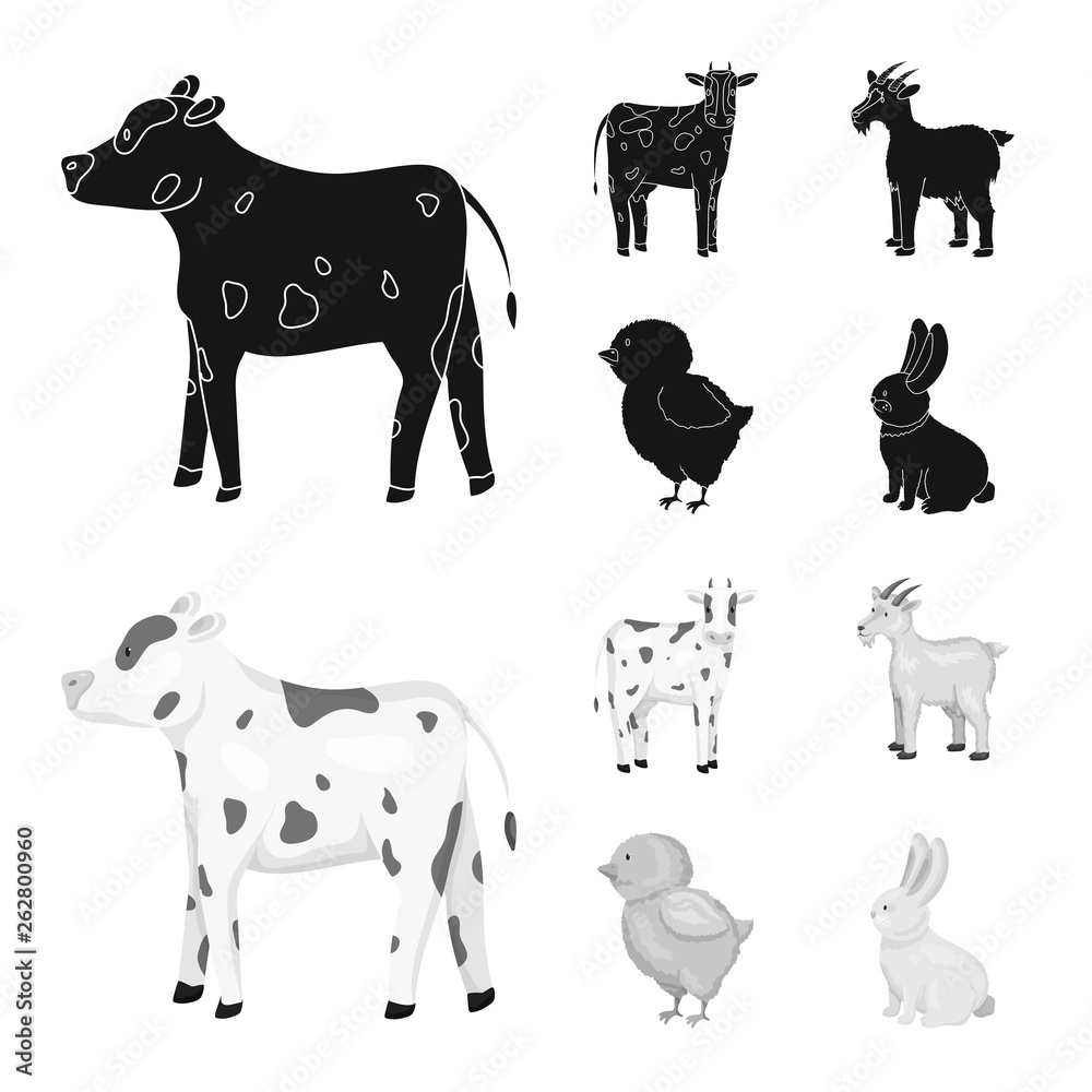 Vector design of breeding and kitchen  sign. Set of breeding and organic  stock vector illustration.