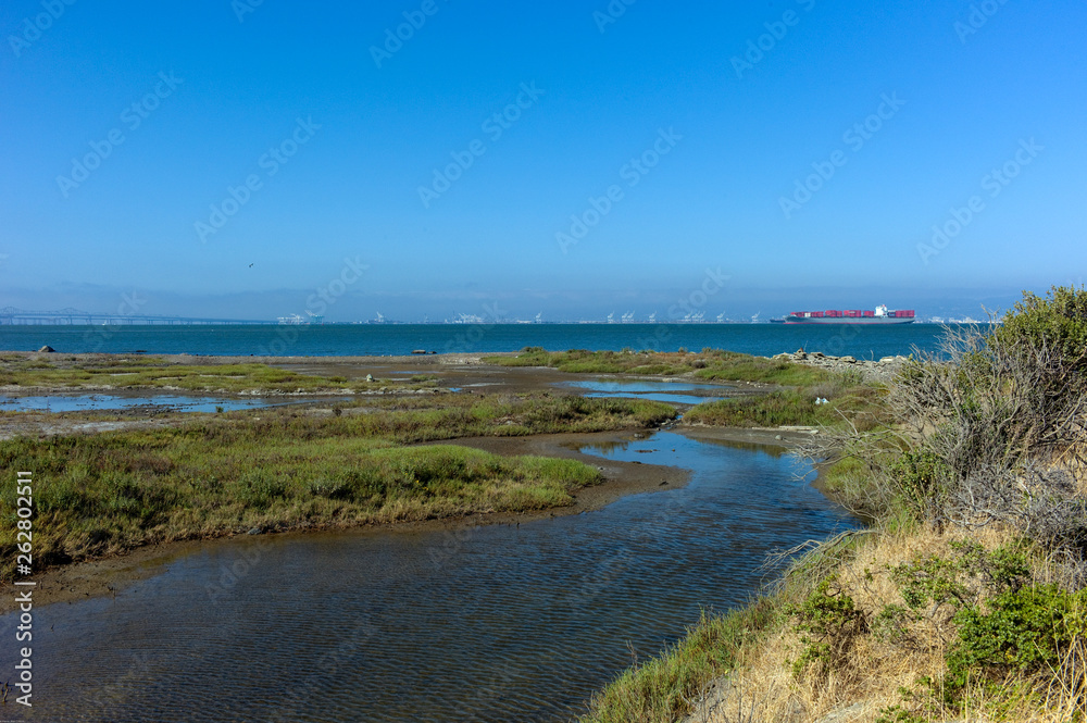 bay coastine with marches and blue sky