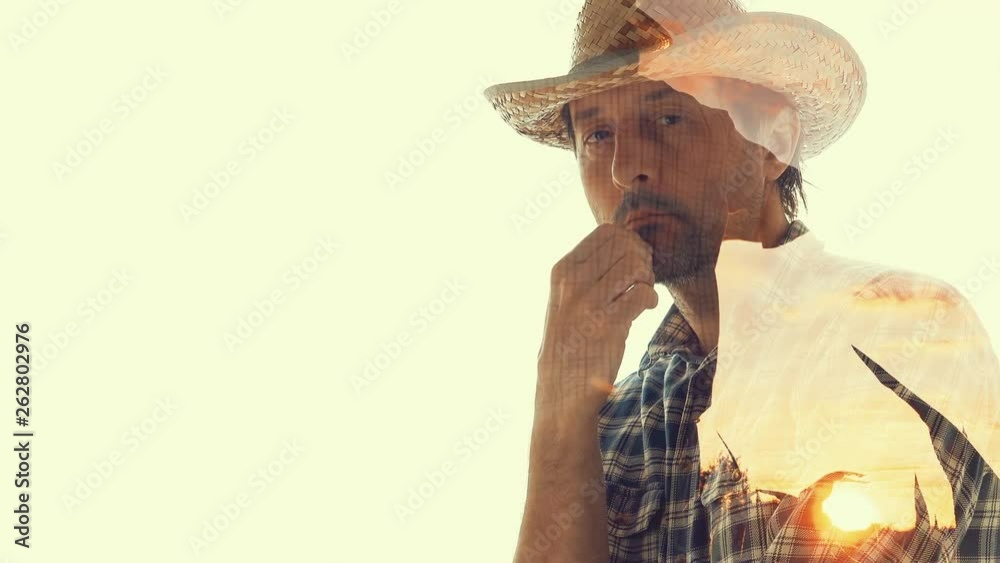 Double exposure of thoughtful farmer in corn crop field in sunset with blank copy space