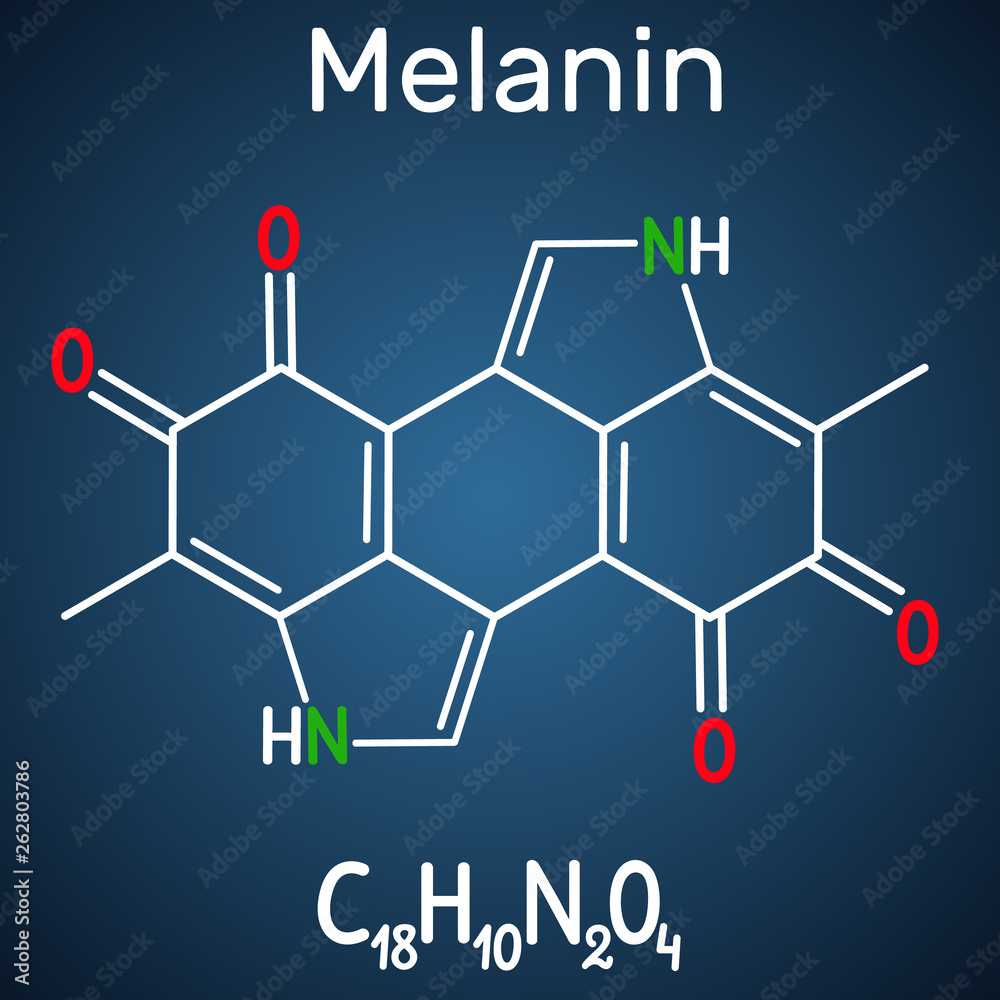 Melanin molecule. Structural chemical formula and molecule model on the