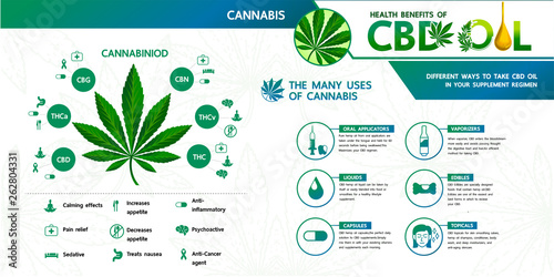 Cannabis with many benefits  vector illustration.