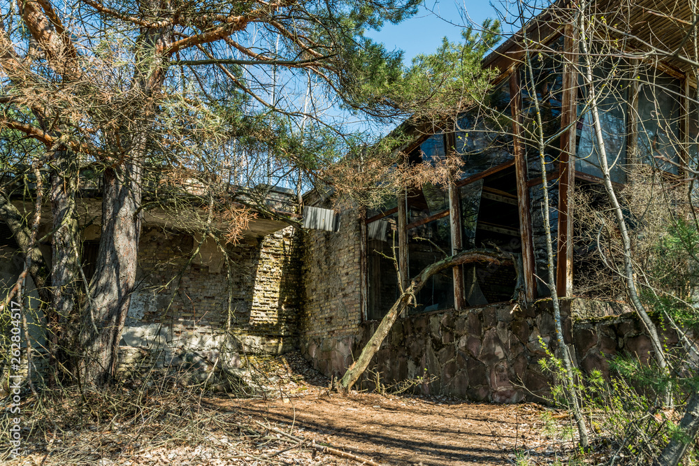 Street of the abandoned ghost town Pripyat. Overgrown trees and collapsing houses in the exclusion zone of the Chernobyl nuclear disaster Street of the abandoned ghost town Pripyat. Overgrown trees and collapsing houses in the exclusion zone of the Chernobyl nuclear disaster