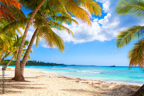 Vacation summer holidays background wallpaper - sunny tropical exotic Caribbean paradise beach with white sand in Seychelles Praslin island Thailand style with palms and rocks