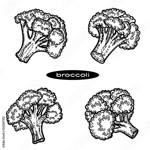 Vector hand drawn set of broccoli isolated on white white background.