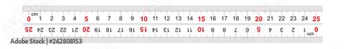 Ruler bidirectional double sided 250 millimeter, 25 centimeter. The division price is 1 mm. Precise measuring tool. Calibration grid.