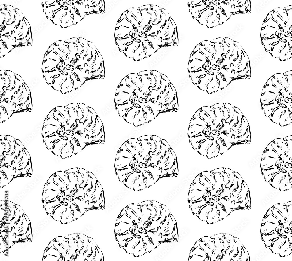 Black and white summer pattern with seashells Black and white summer pattern with seashells