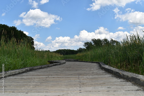 Blue skies over a boardwalk through a meadow © Rose Guinther