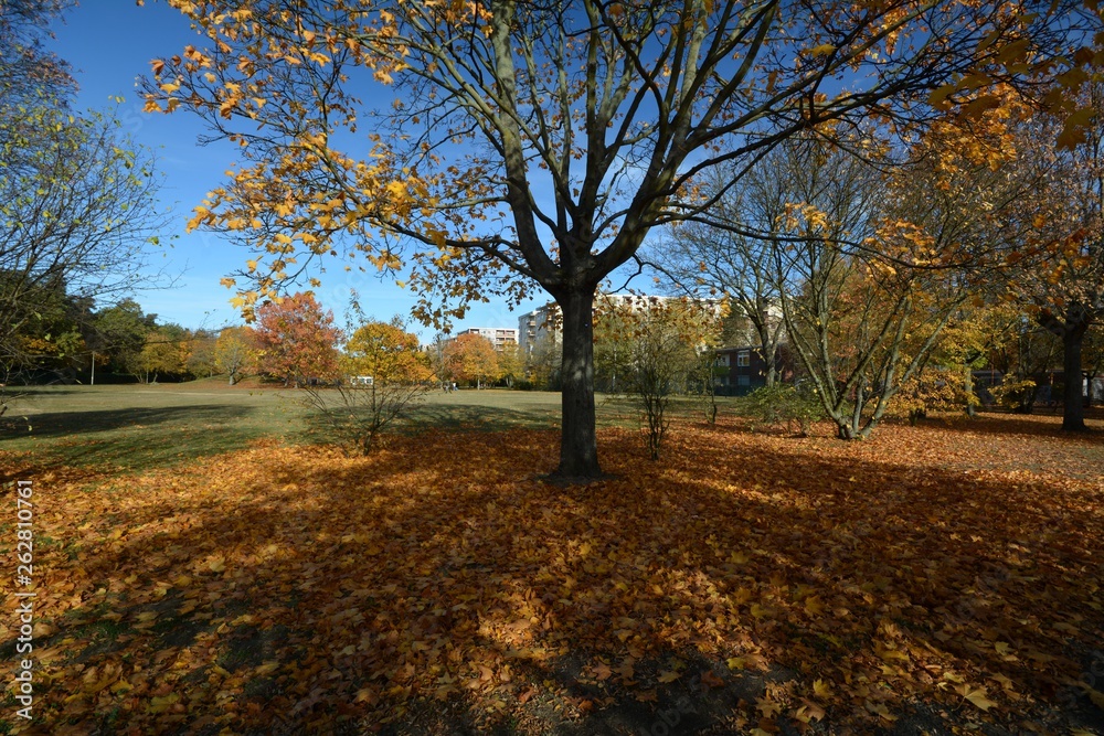 Fototapeta premium Autumnal Impressions from City Park in Berlin Spandau, from October 30, 2016, Germany