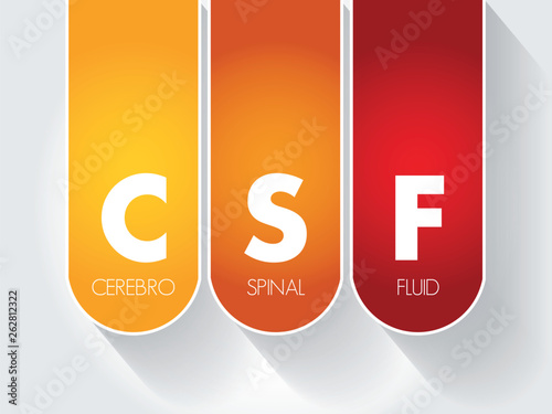 CSF - cerebrospinal fluid acronym, concept background