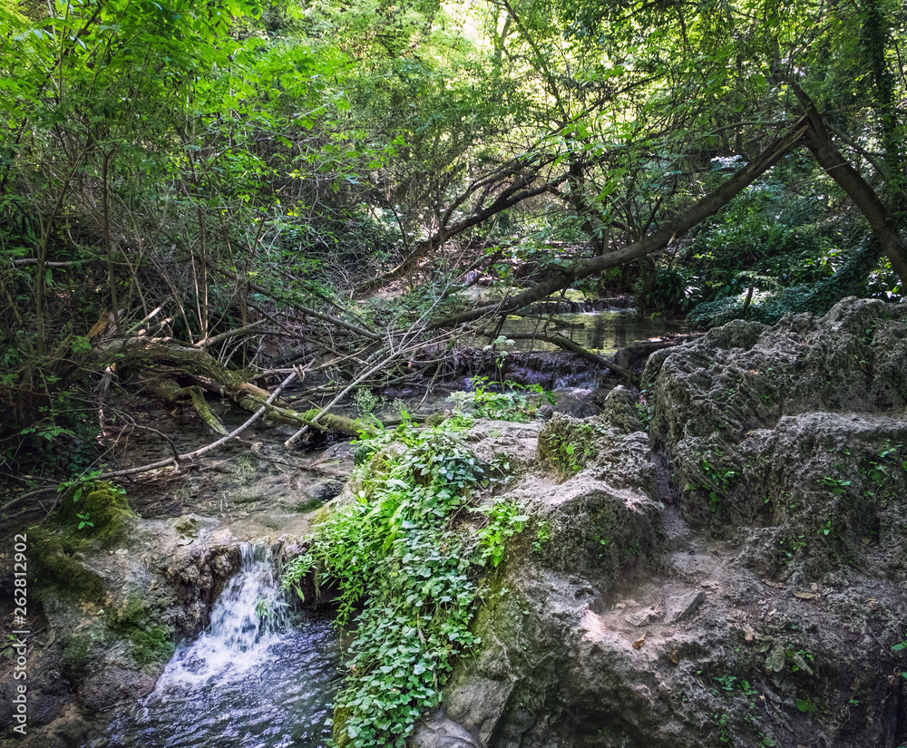 Nature landscape of Krushuna waterfalls in Bulgaria. The falls, terraces and pools are surrounded by bright summer greens Nature landscape of Krushuna waterfalls in Bulgaria. The falls, terraces and pools are surrounded by bright summer greens
