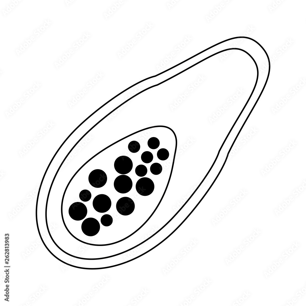 Papaya fruit healthy food isolated black and white