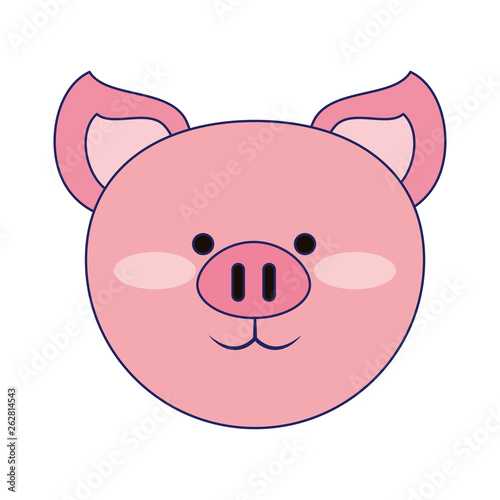 Pig cute animal head blue lines