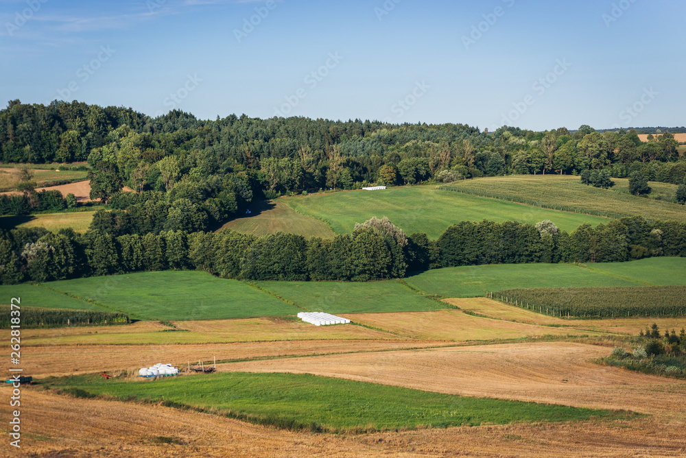 Landscape in Strysza Buda village in Kartuzy County, Kashubia Lakeland in Pomeranian Voivodeship, Poland - obrazy, fototapety, plakaty 