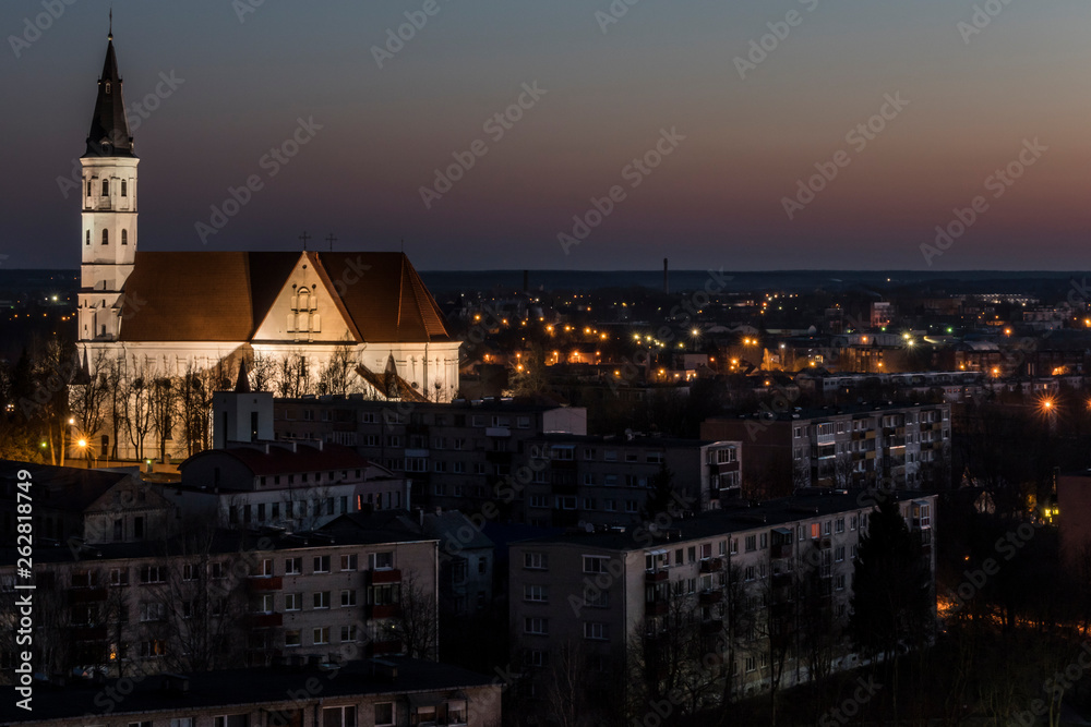 Siauliai, Lithuania Cathedral of Saints Peter and Paul and skyline.
