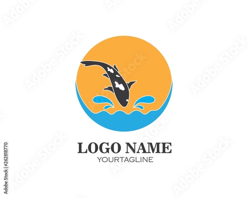 Koi fish logo vector
