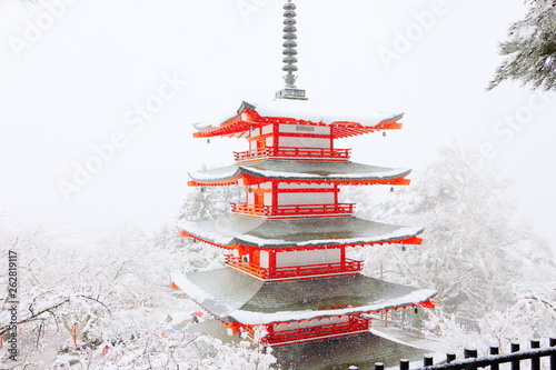 新倉山浅間公園の桜と雪 © K.Douzin