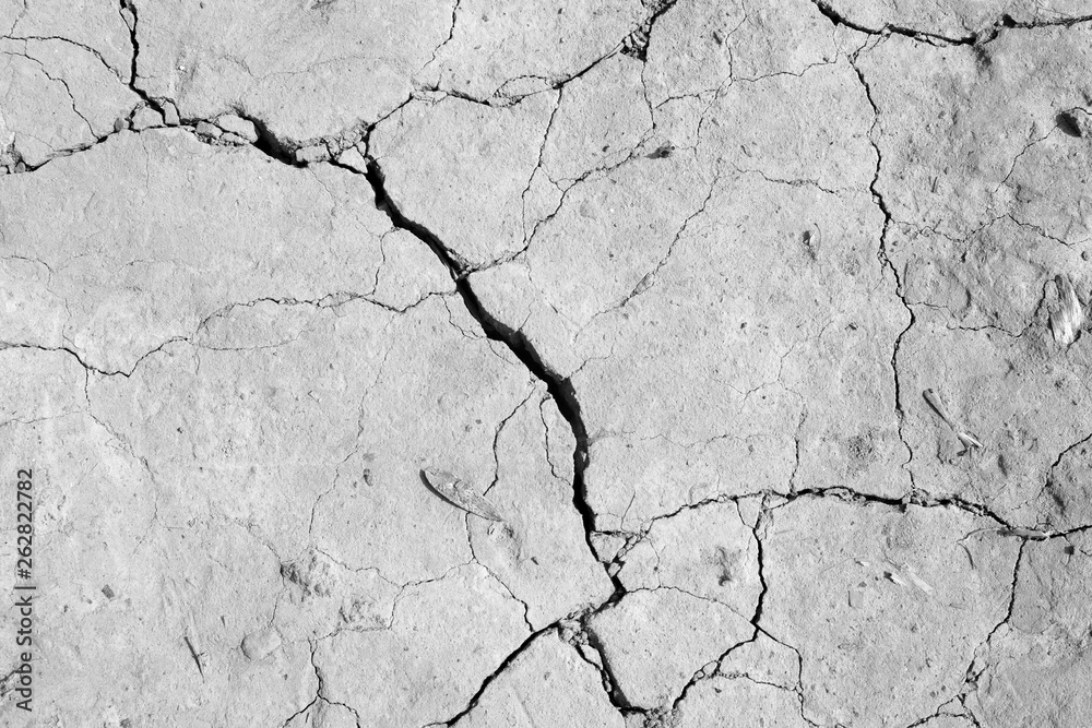 Fototapeta premium Cracked ground texture in white and black.