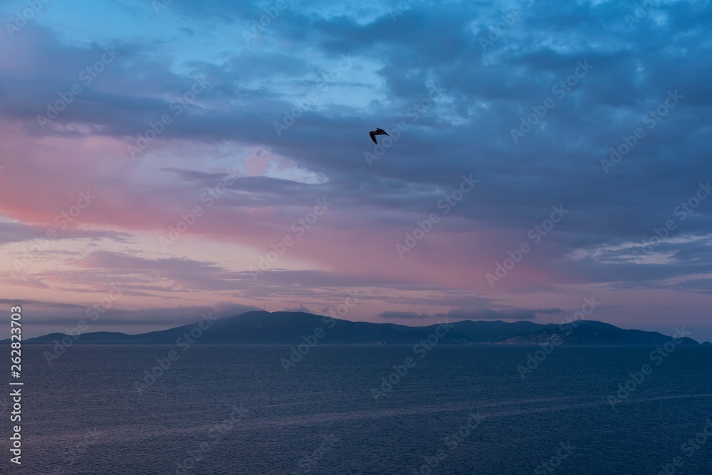 Sunrise on the sea with a blue sky and a flying Seagull over Monte Argentario Sunrise on the sea with a blue sky and a flying Seagull over Monte Argentario