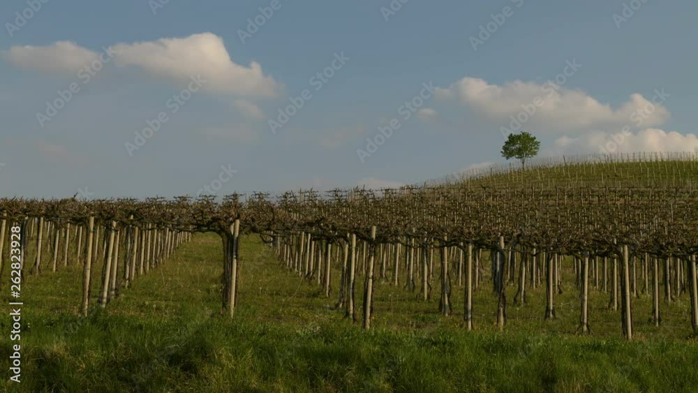 Time lapse view of the vineyards and clouds in the Langhe Piedmont Time lapse view of the vineyards and clouds in the Langhe Piedmont
