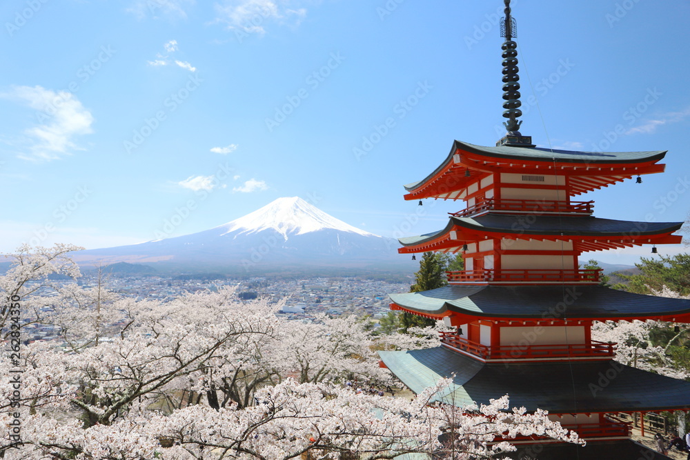 新倉山浅間公園の五重塔と富士山と満開の桜