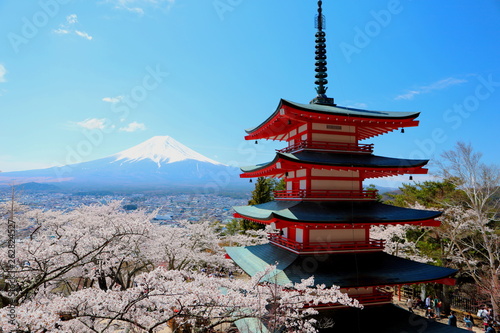 新倉山浅間公園の五重塔と富士山と満開の桜