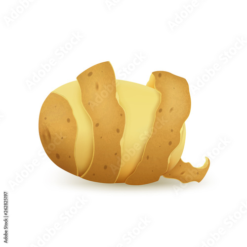Peeled potatoes on a white background, vector.