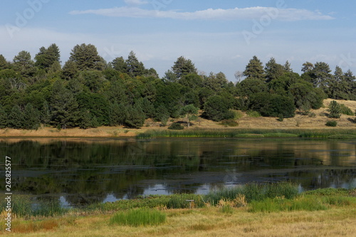 landscape with river and trees in Julian California USA
