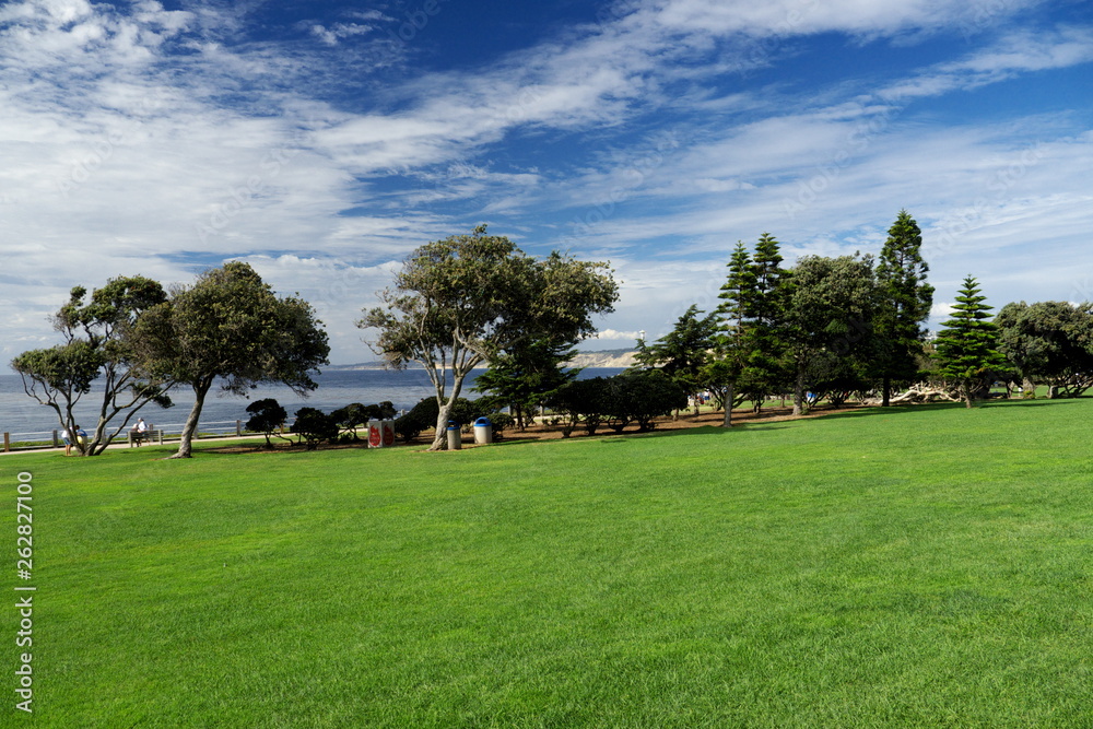 Fototapeta premium view of park La Jolla San Diego California USA