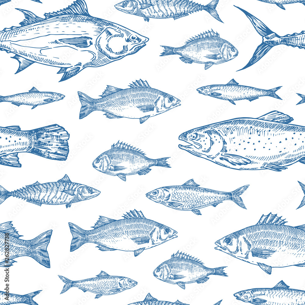 Hand Drawn Ocean Fish Vector Seamless Background Pattern. Anchovy, Herrings, Tuna, Dorado, Mackerel, Seabass and Salmons Sketches Card or Cover Template in Blue Color.