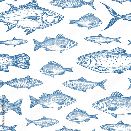 Hand Drawn Ocean Fish Vector Seamless Background Pattern. Anchovy, Herrings, Tuna, Dorado, Mackerel, Seabass and Salmons Sketches Card or Cover Template in Blue Color.