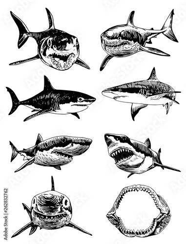 Graphical set of sharks isolated on white background,vector illustration for tattoo,coloring and printing