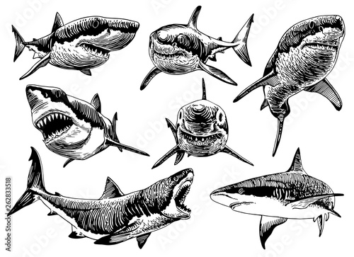 Graphical set of sharks isolated on white background,vector illustration for tattoo,coloring and printing