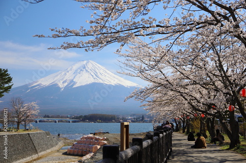 河口湖 湖畔の富士山