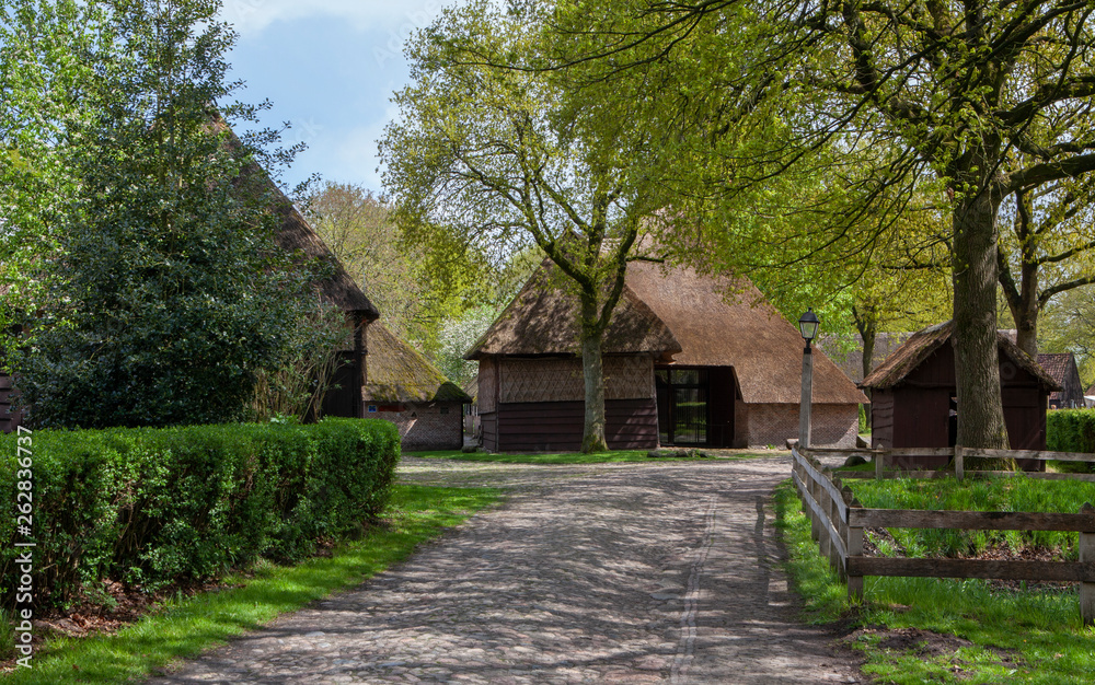 Village of Orvelte Drente Netherlands. Countrylife. Farm