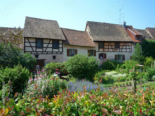 Bergheim en Alsace