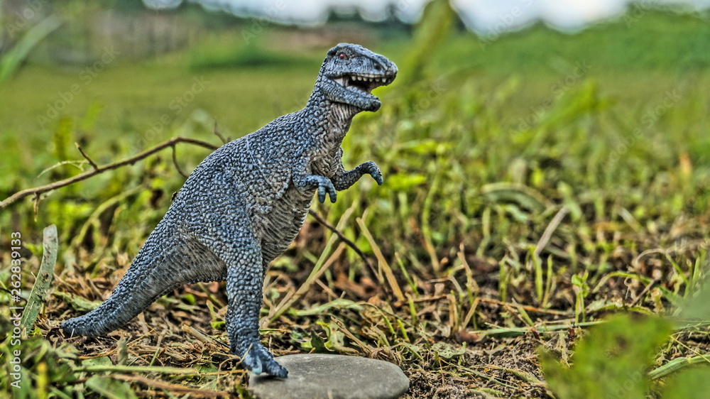 Obraz premium lizard in grass
