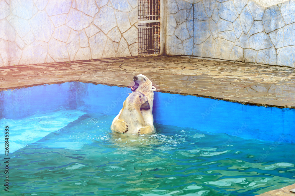 INTERESTING FACTS ABOUT ANIMALS IN CAPTIVITY intelligence overview