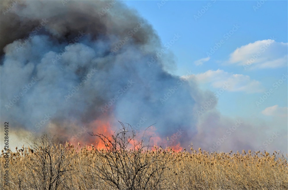 fire on the pond