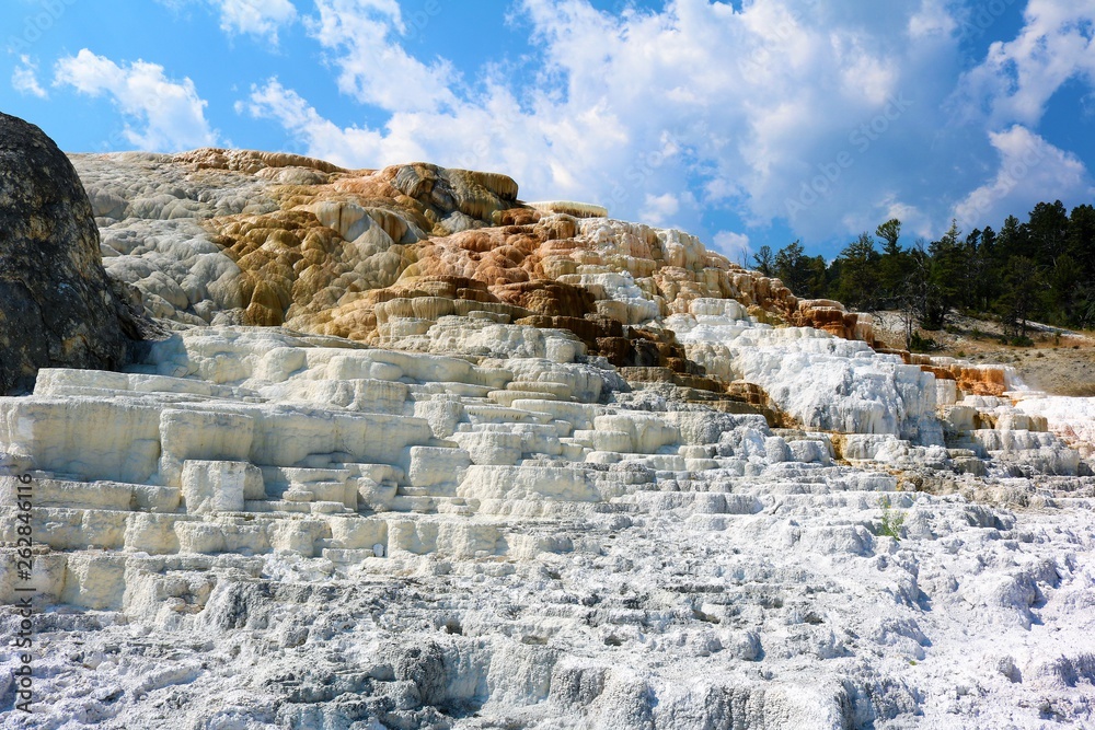 Yellowstone