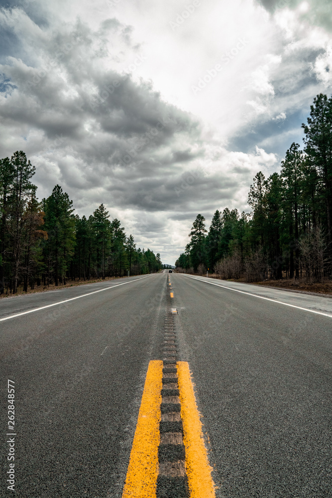 Fototapeta premium highway to Sedona