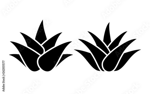 Aloe vera silhouette icon set