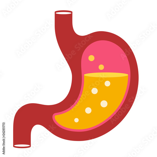 Stomach vector cartoon icon